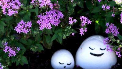 笑顔の石と花
