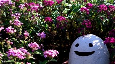 笑顔の石と花