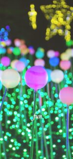 球体のイルミネーション