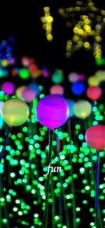 球体のイルミネーション