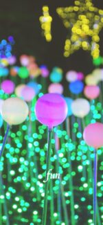 球体のイルミネーション