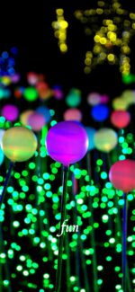 球体のイルミネーション