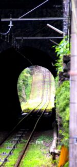 登山鉄道の線路