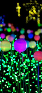 球体のイルミネーション