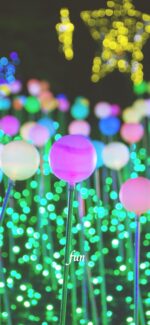 球体のイルミネーション