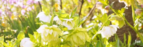 X（エックス）ヘッダー用サイズのフリー画像