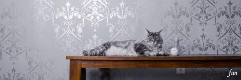 X（エックス）ヘッダー用サイズのフリー画像