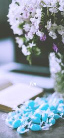 iPhone12ProMax・13ProMax・14plusの無料壁紙・待受け