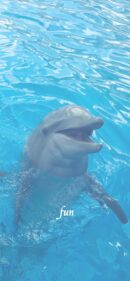 iPhone12ProMax・13ProMax・14plusの無料壁紙・待受け