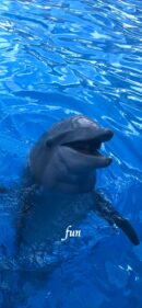 iPhone12ProMax・13ProMax・14plusの無料壁紙・待受け