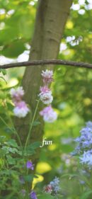 【おすすめ】iPhoneロック画面等花の無料壁紙・待ち受け