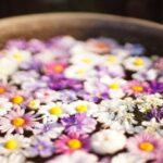 iPhone11Pro・Xs・Xのおしゃれな花の壁紙が取り放題