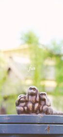 見猿聞か猿言わ猿