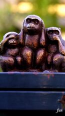 見ザル聞かザル言わザル