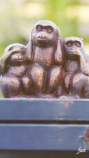 見ザル聞かザル言わザル