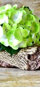 【おすすめ】iPhoneロック画面等花の無料壁紙・待ち受け