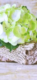 【おすすめ】iPhoneロック画面等花の無料壁紙・待ち受け