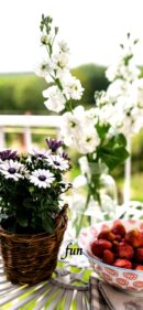 【おすすめ】iPhoneロック画面等花の無料壁紙・待ち受け