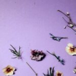 iPhone12ProMax・13ProMax・14plusロック画面等の紫の無料壁紙・待受けを配信中