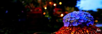 X（エックス）ヘッダー用サイズのフリー画像