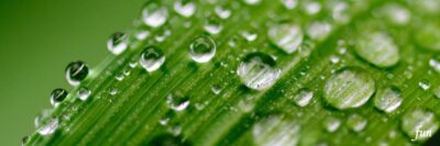 X（エックス）ヘッダー用サイズのフリー画像