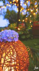 あじさいと灯り