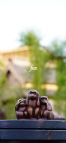 見ザル聞かザル言わサル