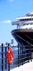 ハンマーヘッド