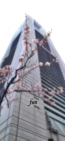 春のランドマーク