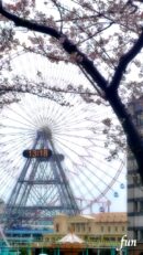 みなとみらいの観覧車