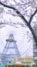 みなとみらいの観覧車