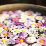 iPad10.5インチロック画面等の花の無料壁紙・待受けが取り放題