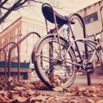 iPhone14・13・13Pro・12・12Proの秋の壁紙・待受けを配信中