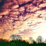 iPhone12Mini・13Miniロック画面等の秋の壁紙・待受けを配信中