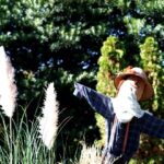 iPhone8・7・6・6Splusのロック画面等秋の壁紙・待受けを配信中