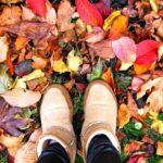 iPad7.9・9.7インチロック画面等の秋の壁紙・待受けを配信中