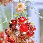 iPhone14plus・13ProMax・12ProMaxの壁紙・待受けを配信中