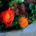 iPhone13Mini・12Miniロック画面等の花の壁紙を配信中