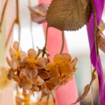 iPhone13Mini・12Miniのドライフラワーの無料壁紙を配信中