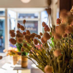 iPhone13ProMax・12ProMaxのドライフラワーの無料壁紙を配信中