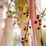 iPad8.3インチのドライフラワーの無料壁紙を配信中