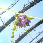 iPhone11ProMax・XsMaxロック画面等の春の壁紙を配信中