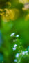 【おすすめ】iPhoneの花の壁紙