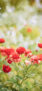 【おすすめ】iPhoneの花の壁紙
