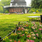 iPhone8・7・6・6SPlusの日本の風景壁紙が取り放題