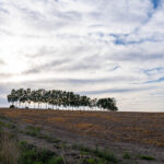 iPhone13Mini・12Miniの日本の風景壁紙が取り放題