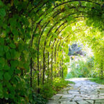 iPhone11Pro・Xs・Xの日本の風景壁紙が取り放題