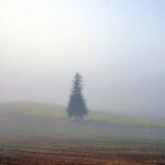 iPhone11ProMax・XsMaxの日本の風景壁紙が取り放題