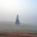 iPhone14plus・13ProMax・12ProMaxの日本の風景壁紙を配信中