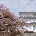 YouTubeのサムネイル用日本の風景無料画像を配信中